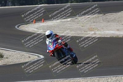 media/Nov-01-2025-TrackDaz (Sat) [[2b4d5192bc]]/C Group/1040pm (Turn 3)/